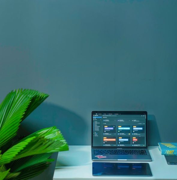 Sleek office desk setup featuring a laptop, tropical plant, and book in a modern design.